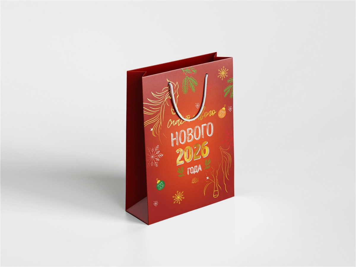 Пакет новогодний